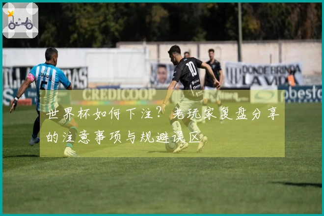 世界杯如何下注？老玩家复盘分享的注意事项与规避误区