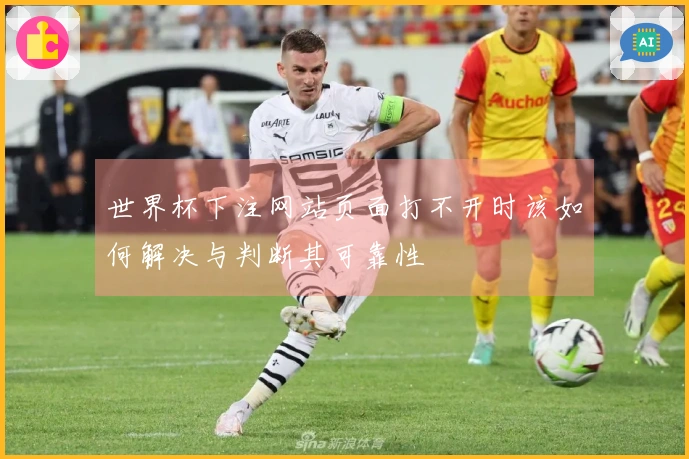 世界杯下注网站页面打不开时该如何解决与判断其可靠性