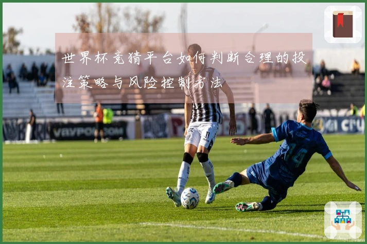 世界杯竞猜平台如何判断合理的投注策略与风险控制方法