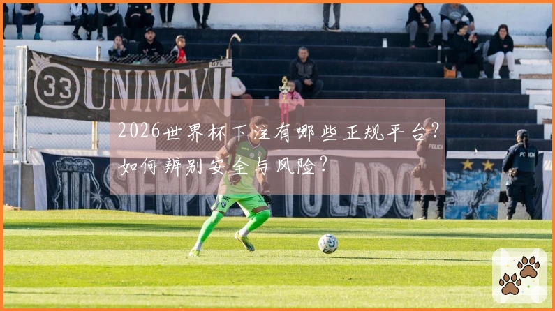 2026世界杯下注有哪些正规平台？如何辨别安全与风险？