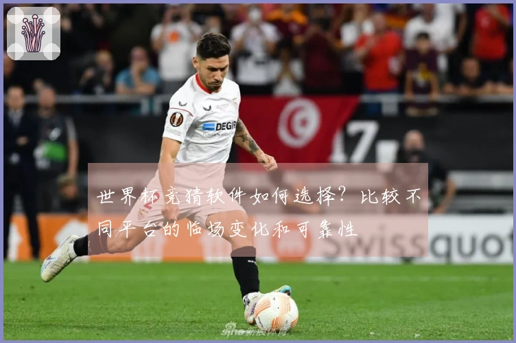 世界杯竞猜软件如何选择？比较不同平台的临场变化和可靠性