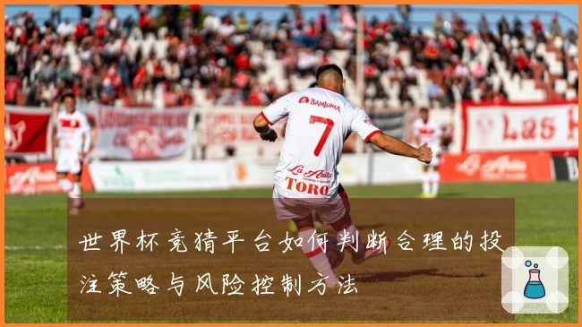 世界杯竞猜平台如何判断合理的投注策略与风险控制方法