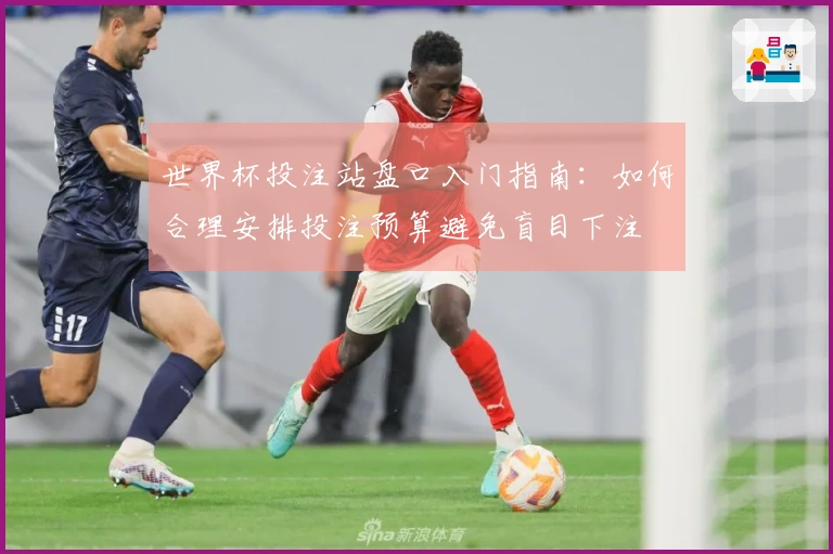 世界杯投注站盘口入门指南：如何合理安排投注预算避免盲目下注