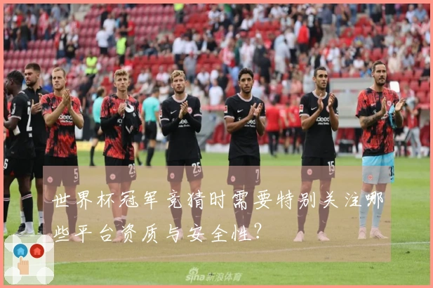 世界杯冠军竞猜时需要特别关注哪些平台资质与安全性？