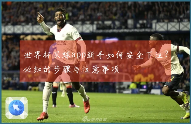 世界杯买球app新手如何安全下注？必知的步骤与注意事项
