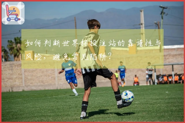 如何判断世界杯投注站的靠谱性与风险，避免常见陷阱？