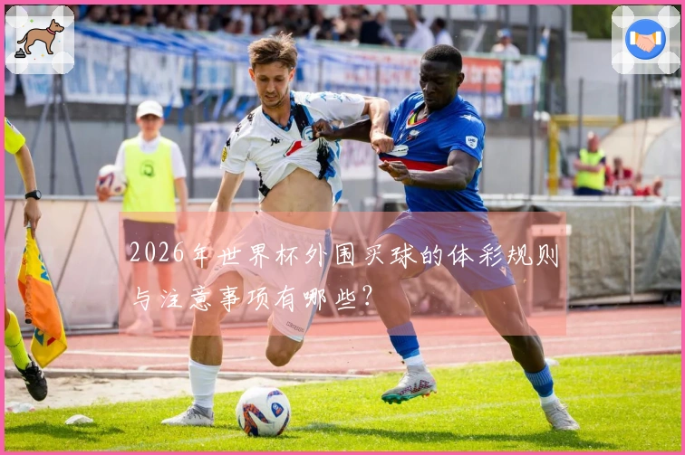 2026年世界杯外围买球的体彩规则与注意事项有哪些？
