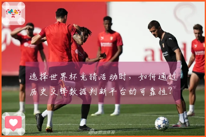 选择世界杯竞猜活动时，如何通过历史交锋数据判断平台的可靠性？
