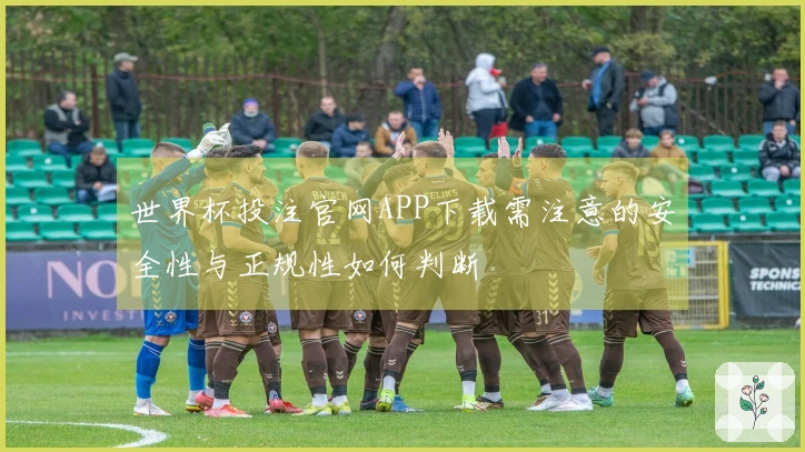 世界杯投注官网APP下载需注意的安全性与正规性如何判断