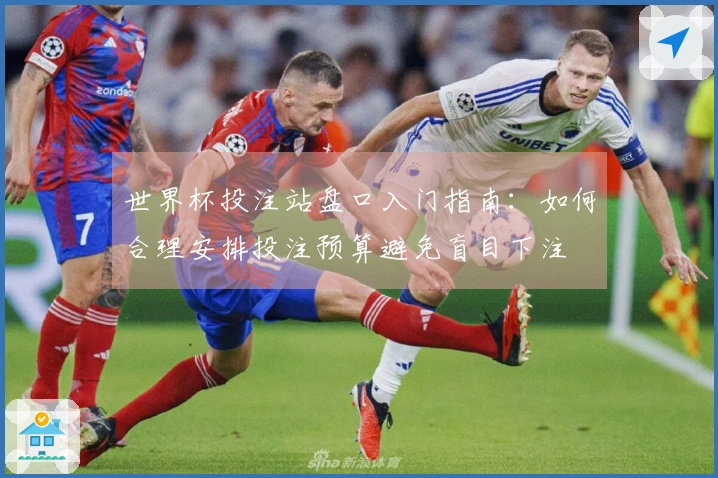 世界杯投注站盘口入门指南：如何合理安排投注预算避免盲目下注