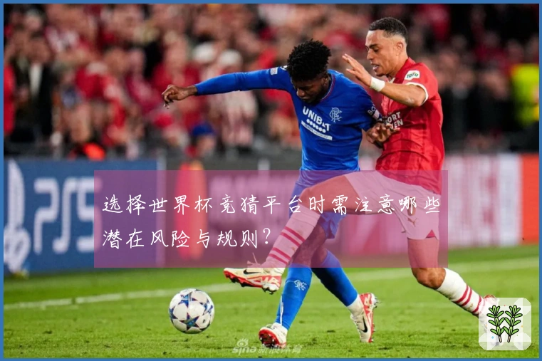 选择世界杯竞猜平台时需注意哪些潜在风险与规则？