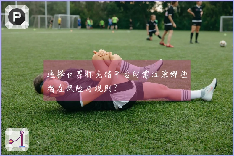 选择世界杯竞猜平台时需注意哪些潜在风险与规则？