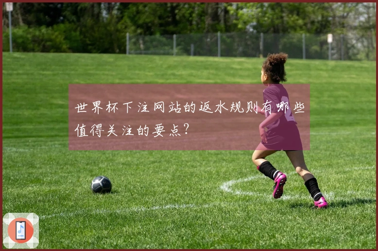 世界杯下注网站的返水规则有哪些值得关注的要点？