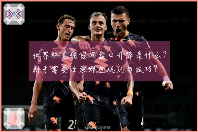 世界杯竞猜官网盘口升降是什么？新手需要注意哪些规则与技巧？