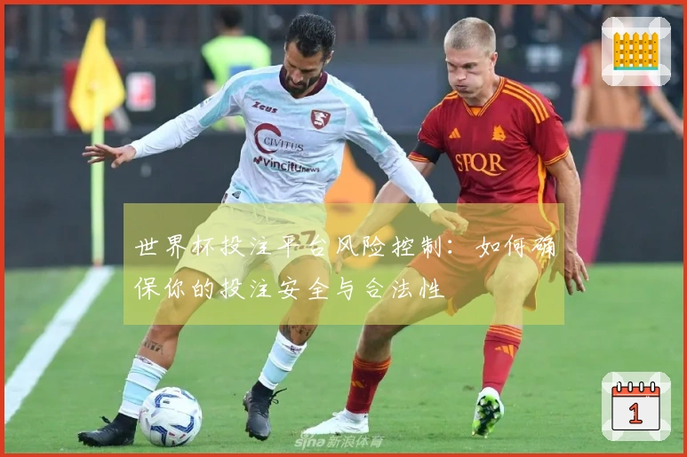 世界杯投注平台风险控制：如何确保你的投注安全与合法性