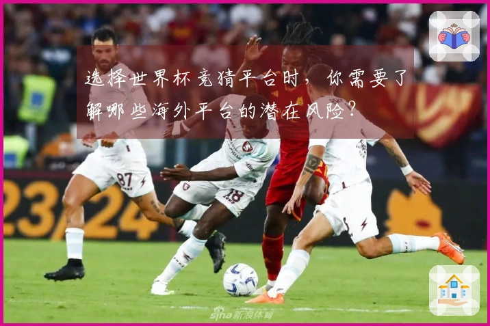 选择世界杯竞猜平台时，你需要了解哪些海外平台的潜在风险？