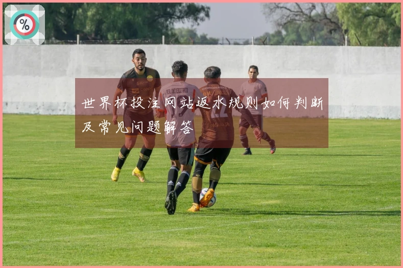 世界杯投注网站返水规则如何判断及常见问题解答