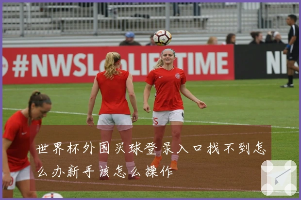 世界杯外围买球登录入口找不到怎么办新手该怎么操作