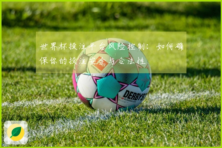 世界杯投注平台风险控制：如何确保你的投注安全与合法性