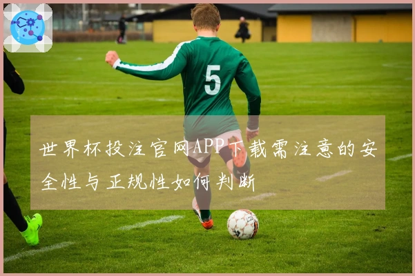 世界杯投注官网APP下载需注意的安全性与正规性如何判断