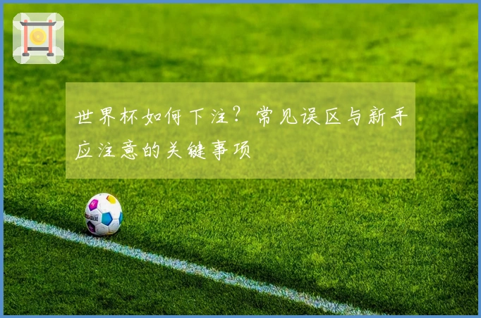 世界杯如何下注？常见误区与新手应注意的关键事项