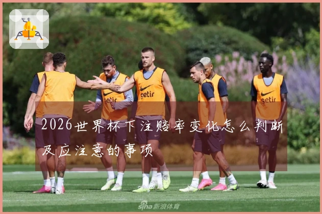 2026世界杯下注赔率变化怎么判断及应注意的事项
