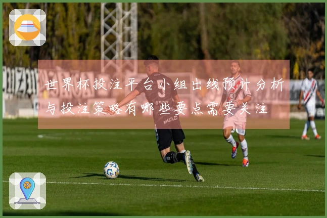 世界杯投注平台小组出线预计分析与投注策略有哪些要点需要关注